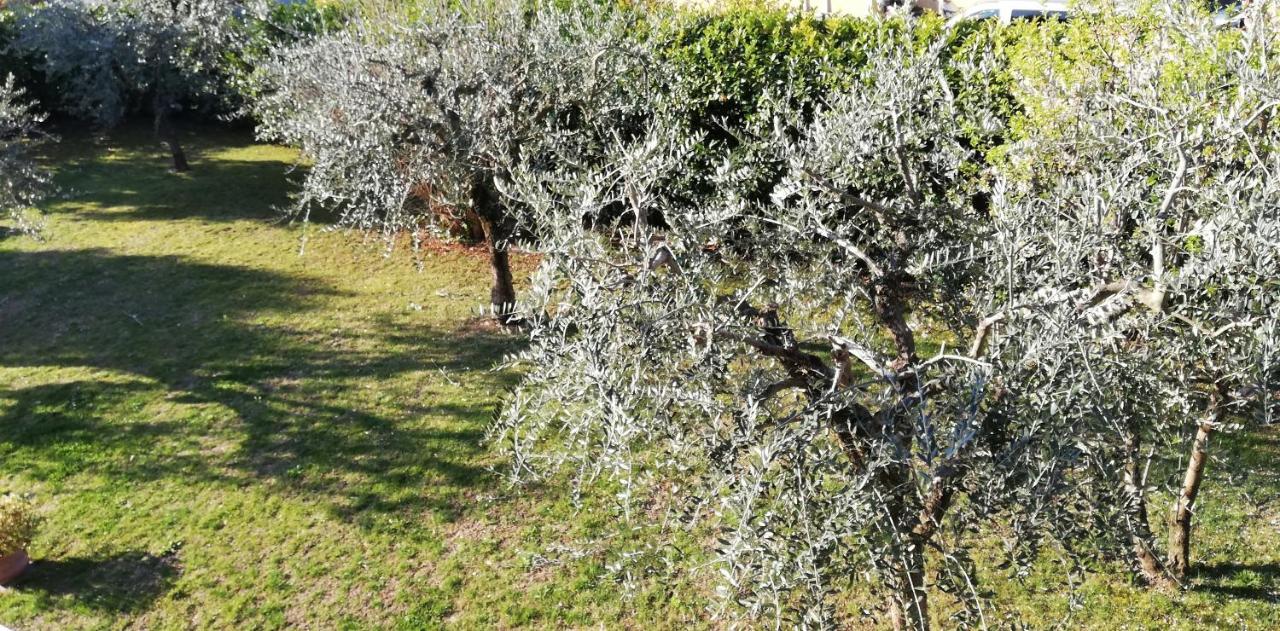 Il Melograno Bed & Breakfast Garda  Ngoại thất bức ảnh